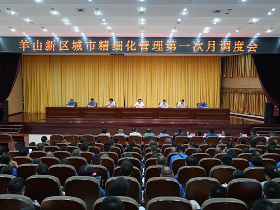 ​信阳市羊山新区：以“绣花”之功向美而行