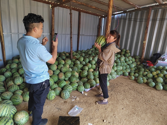 ​罗山：西瓜滞销瓜农忧 爱心帮扶促增收
