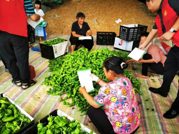 商丘市市场监管局开展宣传《商丘市文明行为促进条例》进农村活动