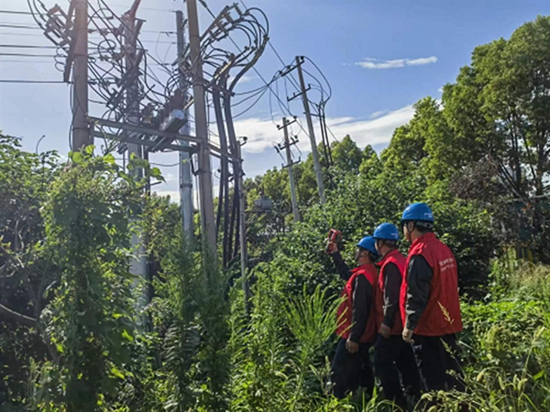 ​国网信阳羊山供电公司：强化线路巡视 保障供电质量 